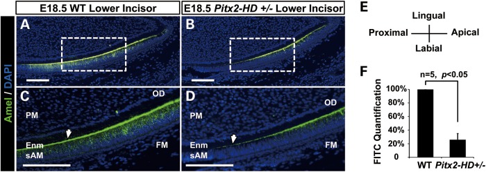 Figure 1.