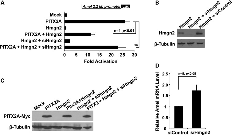 Figure 6.