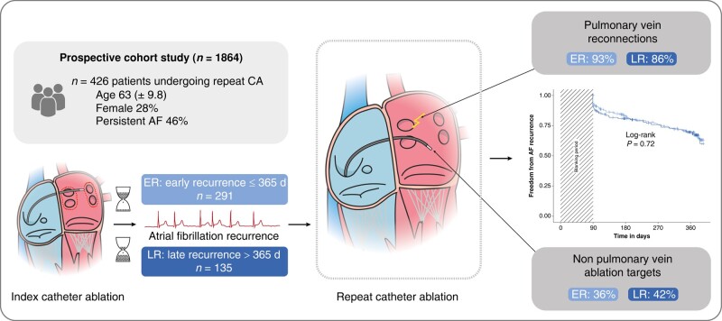 Graphical Abstract