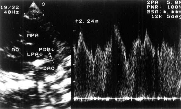 Figure 1  