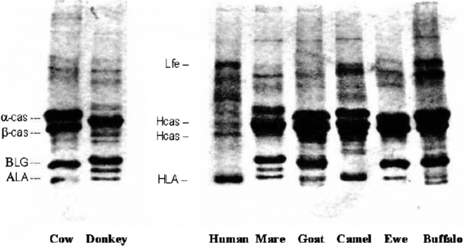 FIGURE 4-1