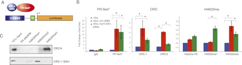 Figure 4.