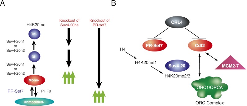 Figure 5.