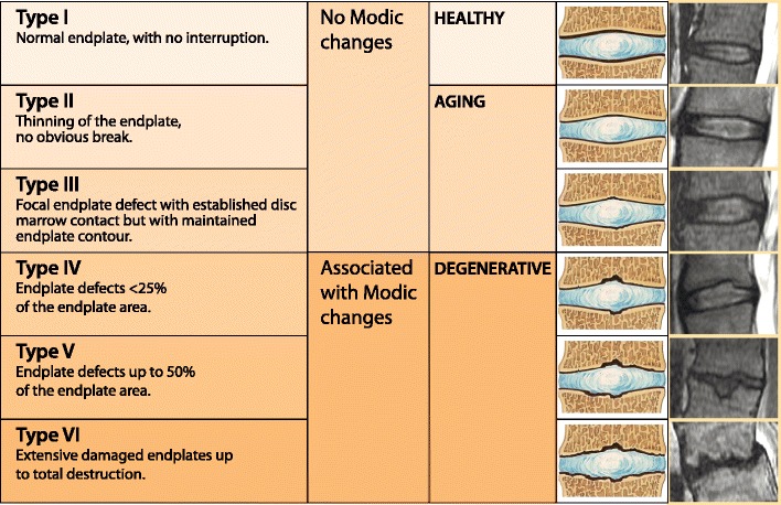 Fig. 16