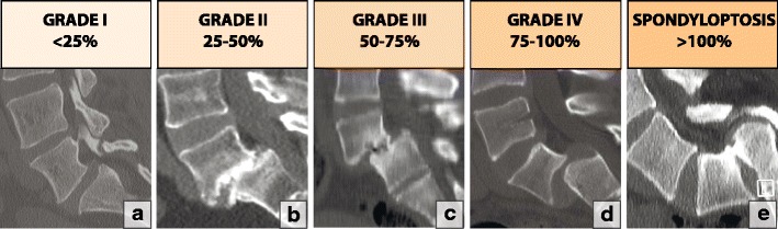 Fig. 22