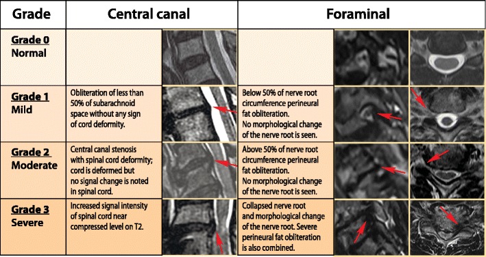 Fig. 28