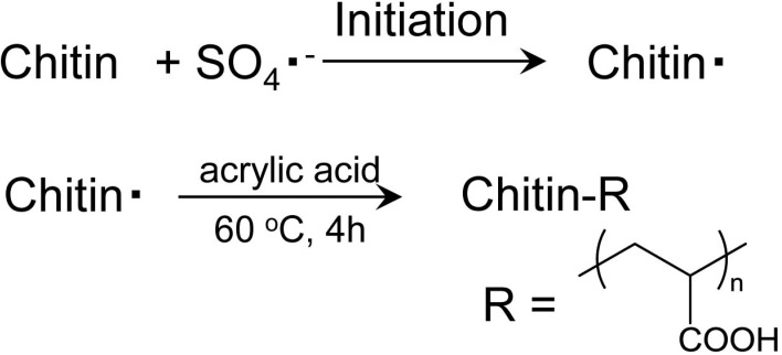 Scheme 6