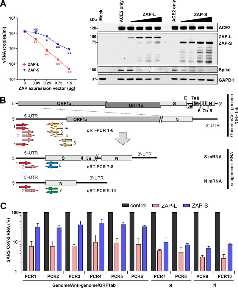 FIG 6