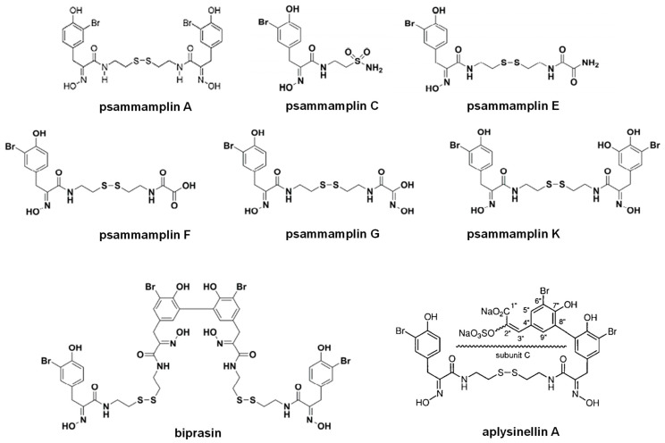 Figure 13