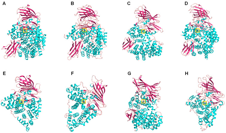 Figure 6