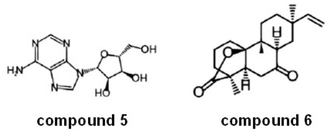 Figure 21