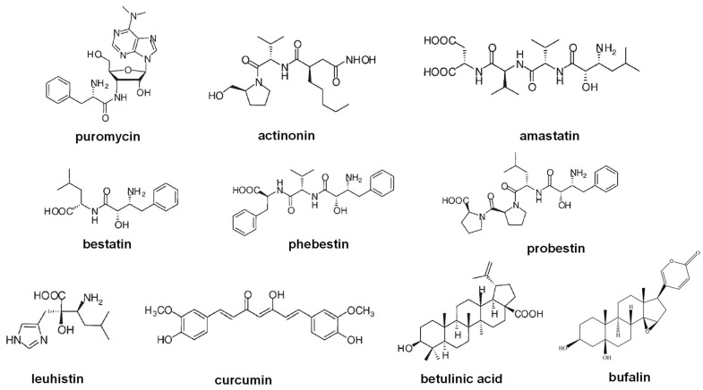 Figure 12