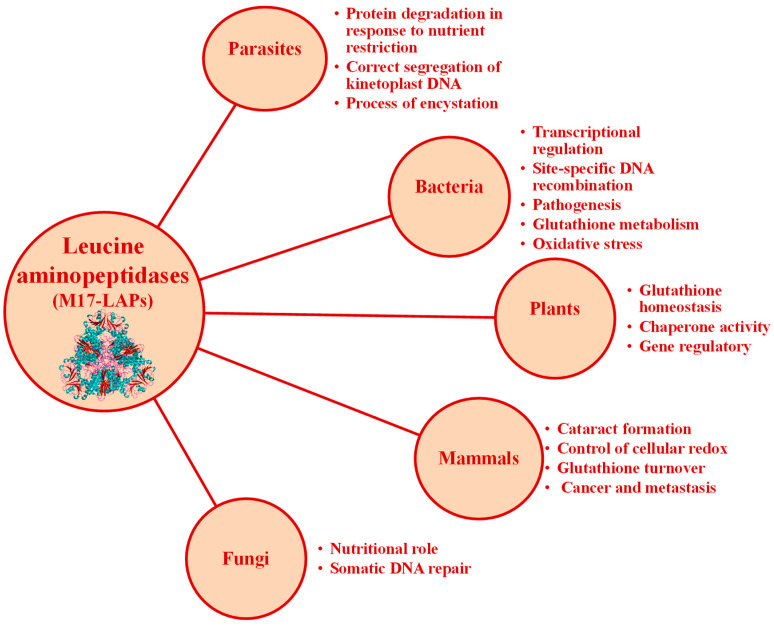 Figure 18