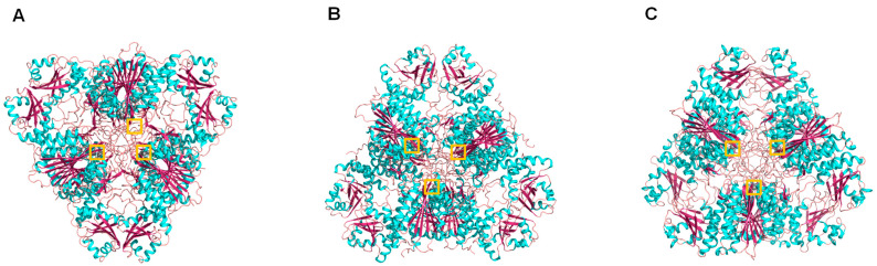 Figure 19