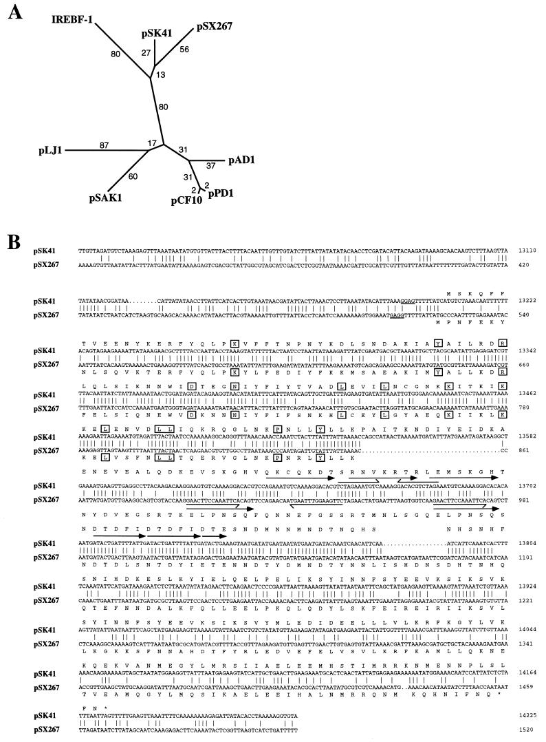 FIG. 3