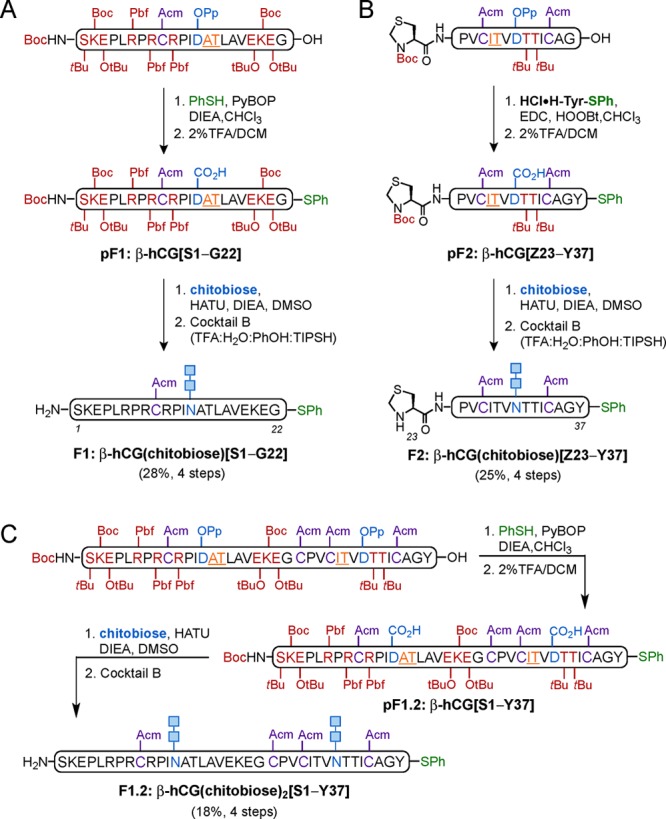 Scheme 4