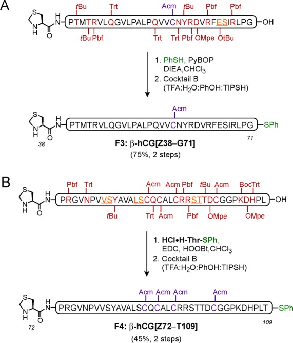 Scheme 5