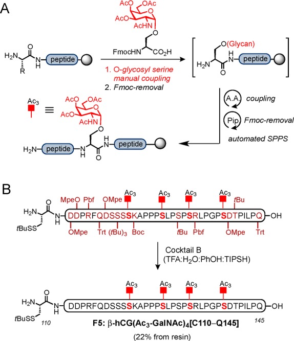 Scheme 6