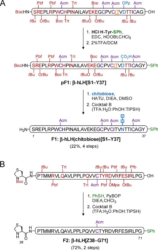 Scheme 1