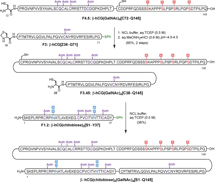 Scheme 8