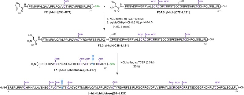 Scheme 3