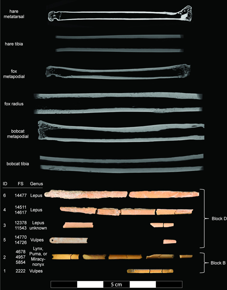 Fig 3