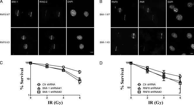 Figure 10.