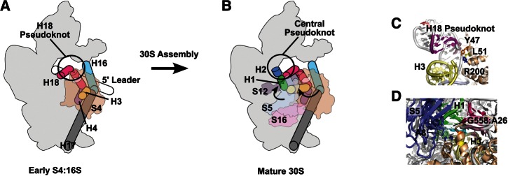 FIGURE 7.