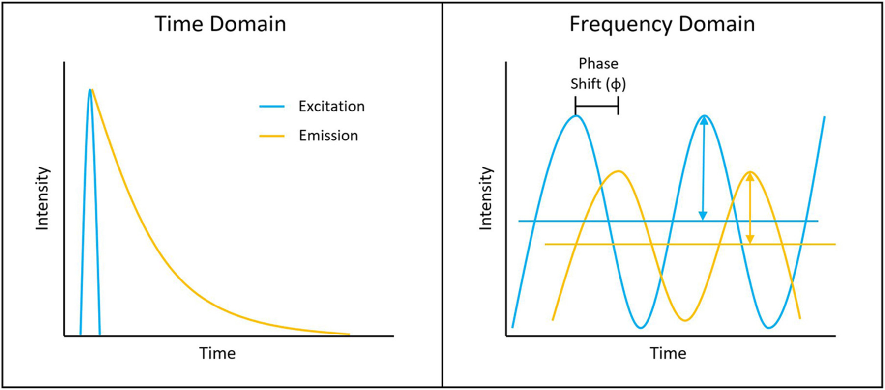 FIGURE 1 |