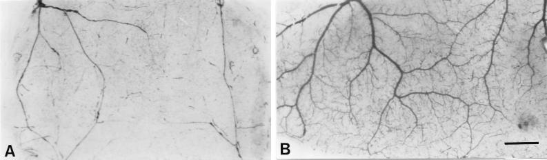 FIG. 6