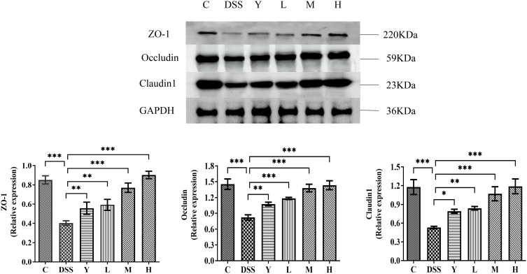 Figure 7