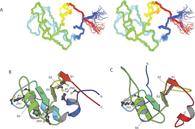 Figure 1.