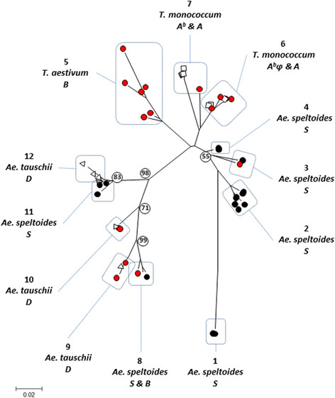 Figure 2 