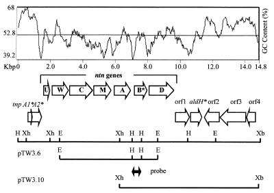 FIG. 1