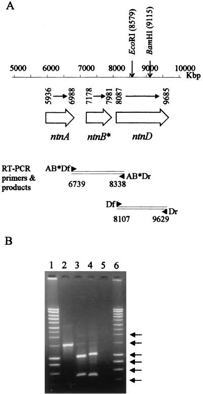 FIG. 3