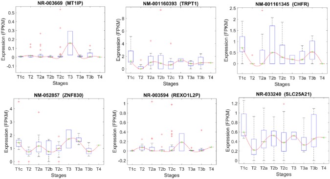 Figure 5.