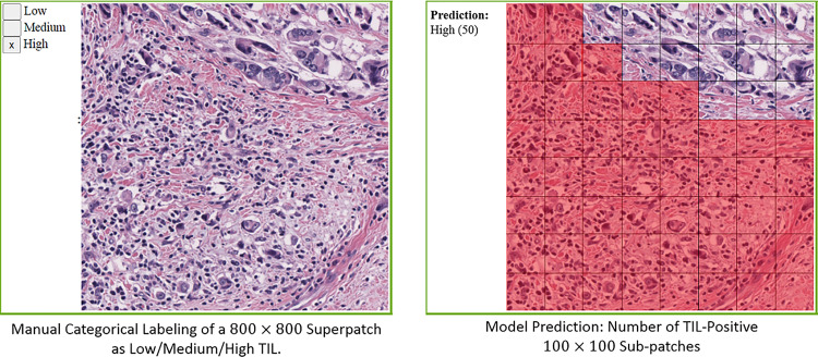 Figure 6