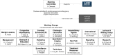 Summary of the Liver Imaging Reporting and Data System governance. AASLD =
American Association for Study of Liver Diseases, NCCN = National Comprehensive
Cancer Network, OPTN = Organ Procurement and Transplantation Network.