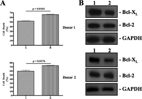 FIG. 9.