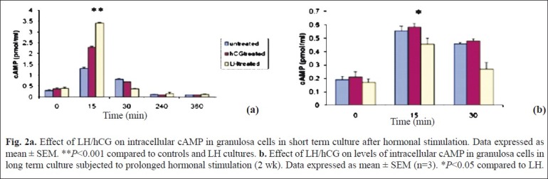 Fig. 2a