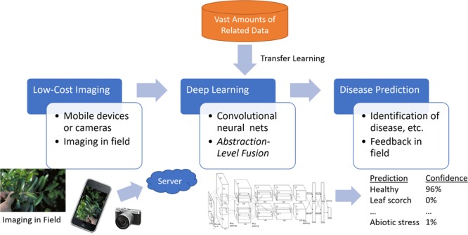 FIGURE 1