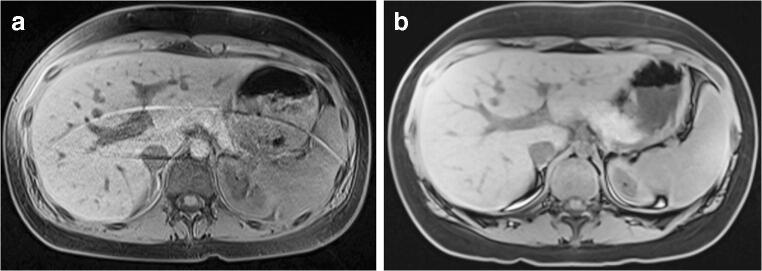 Fig. 7