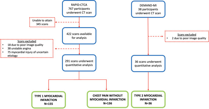 Substudy diagram shows the screening and final study participants. DEMAND-MI = Determining the Mechanism of Myocardial Injury and Role of Coronary Disease in Type 2 Myocardial Infarction, RAPID-CTCA = Rapid Assessment of Potential Ischemic Heart Disease with CT Coronary Angiography.