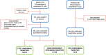 Substudy diagram shows the screening and final study participants.
DEMAND-MI = Determining the Mechanism of Myocardial Injury and Role of
Coronary Disease in Type 2 Myocardial Infarction, RAPID-CTCA = Rapid
Assessment of Potential Ischemic Heart Disease with CT Coronary
Angiography.