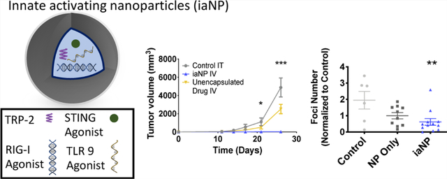 graphic file with name nihms-1909347-f0001.jpg