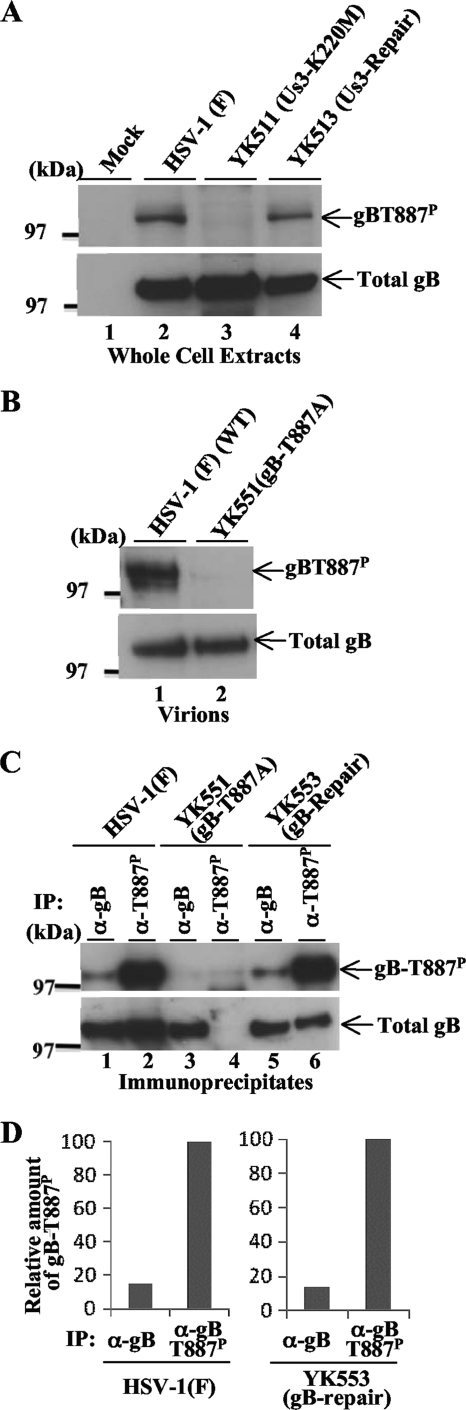 FIG. 5.