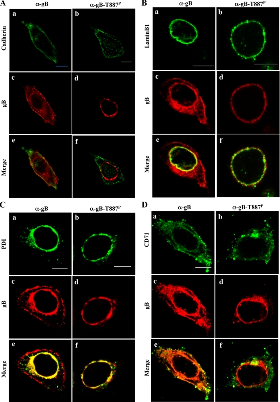 FIG. 7.