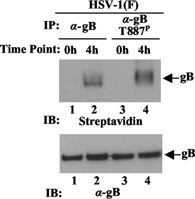 FIG. 9.