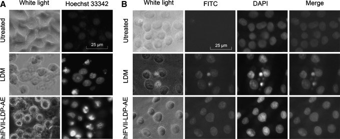 FIG. 4.