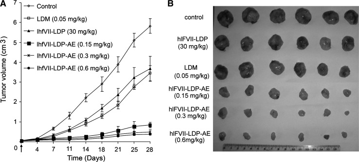 FIG. 5.